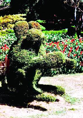 ಬೆಂಗಳೂರು ಬೆಳಕಿಂಡಿ