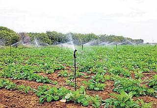 ಐ.ಟಿ ವ್ಯಾಪ್ತಿಗೆ ಶ್ರೀಮಂತ ರೈತರು?