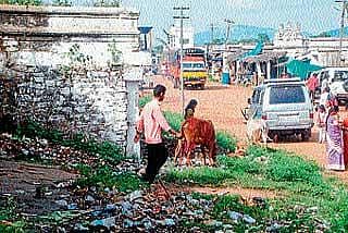 ಬಿ.ಆರ್.ಹಿಲ್ಸ್: ಬೆಟ್ಟದಷ್ಟು ಸಮಸ್ಯೆ