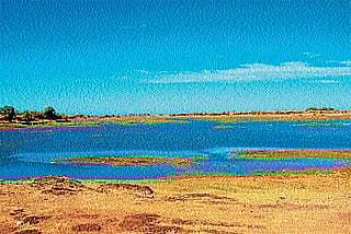 ಬರಿದಾಗುತ್ತಿರುವ ಅರೆಸಾಮಿ ಕೆರೆ:ಸಚಿವರ ಉತ್ತರಕ್ಕೆ ಪರಿಸರಪ್ರಿಯರ ಅಸಮಾಧಾನ