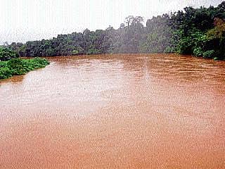 ಸತತ ಮಳೆ; ತುಂಬಿ ಹರಿದ ತುಂಗೆ