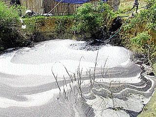 ಮಲಿನ ನೀರು ಕುಡಿದು ಜಾನುವಾರು ಸಾವು