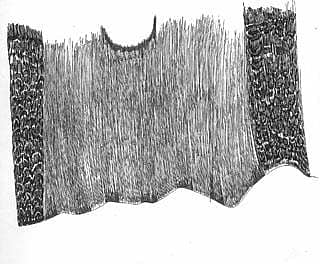 ಕಥೆ ಮತ್ತು ಸಂಸ್ಥೆ