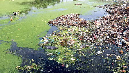 ಮಲಿನಗೊಳ್ಳುತ್ತಿದೆ ಹಸಿರು ನಗರಿ