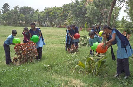 ಹಸಿರು ಶಾಲೆಯ ಪರಿಸರ ಪಾಠ...!
