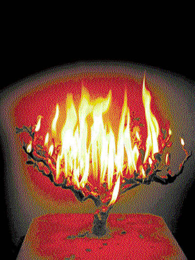 ನೆಲದವ್ವನ ಬೆಚ್ಚಗಿನ ಮಡಿಲ ಮಾರಲಾರೆ