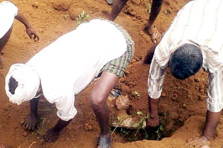 ಕಡೂರು ತಾಲ್ಲೂಕು ಕಡೂರಹಳ್ಳಿ ಬಳಿ ಗುರುವಾರ ರಾತ್ರಿ ಮರಳು ದಿಬ್ಬ ಕುಸಿದು ಮೃತಪಟ್ಟವನ ದೇಹ ಹೊರತೆಗೆಯಲು ಪ್ರಯತ್ನಿಸುತ್ತಿರುವ ಗ್ರಾಮಸ್ಥರು.