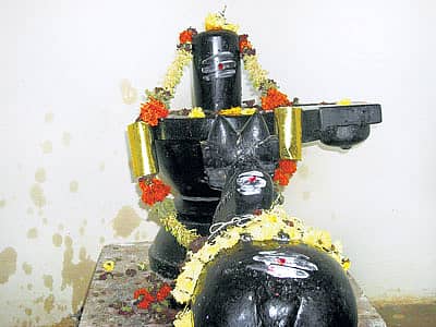 ಪಾತಲಿಂಗೇಶ್ವರ ಸನ್ನಿಧಿಯಲ್ಲಿ ಸಡಗರ