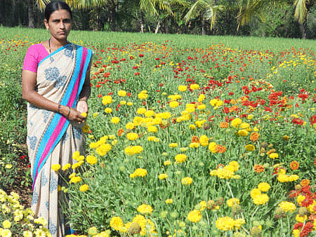 ಹೂವಿನ ತೋಟದಲ್ಲಿ ಮೀನಾಕ್ಷಿ ಮುರಡಪ್ಳರ್