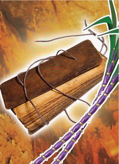 ಬಸವನ ನೆನಪು: ಆರ್ದ್ರತೆ, ಆತಂಕ