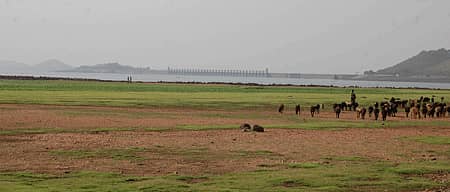 ತುಂಗಭದ್ರಾ ಅಣೆಕಟ್ಟೆಯಲ್ಲಿ ಸಂಗ್ರಹವಾಗಿರುವ ಹೂಳಿನ ದೃಶ್ಯ (ಸಂಗ್ರಹ ಚಿತ್ರ)