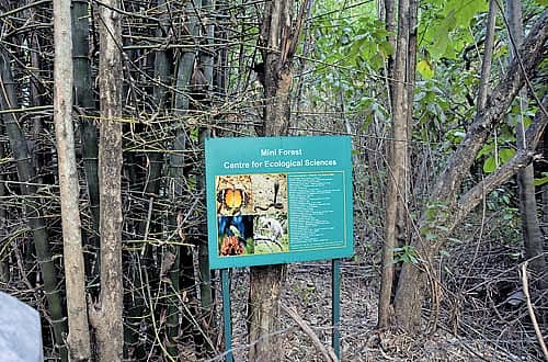 ಕಿರು ಅರಣ್ಯದ ಸಂಪೂರ್ಣ ಮಾಹಿತಿಯುಳ್ಳ ಫಲಕ