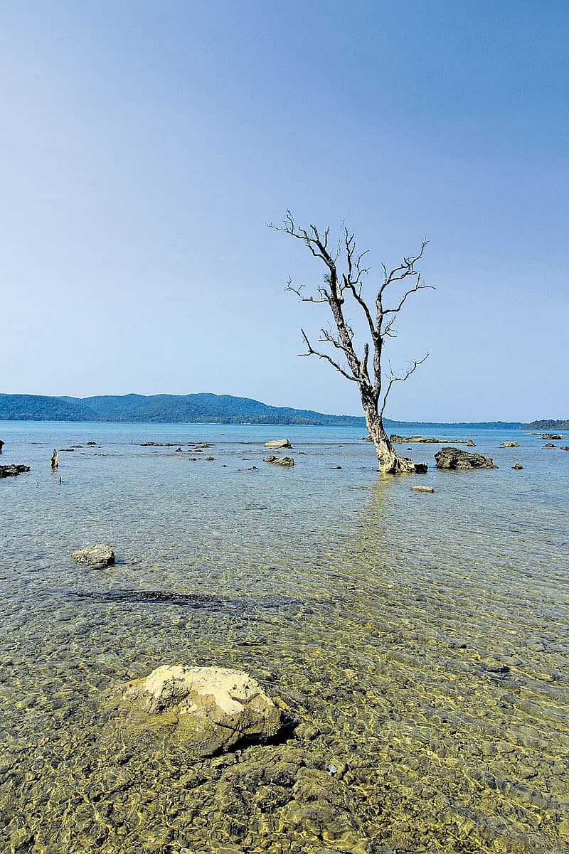 ಹಕ್ಕಿಗಳ ಹಾಡಿನ ‘ಚಿಡಿಯಾ ಟಾಪು’