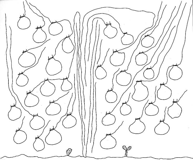 ಡಾ. ಸಿ. ರವೀಂದ್ರನಾಥ್