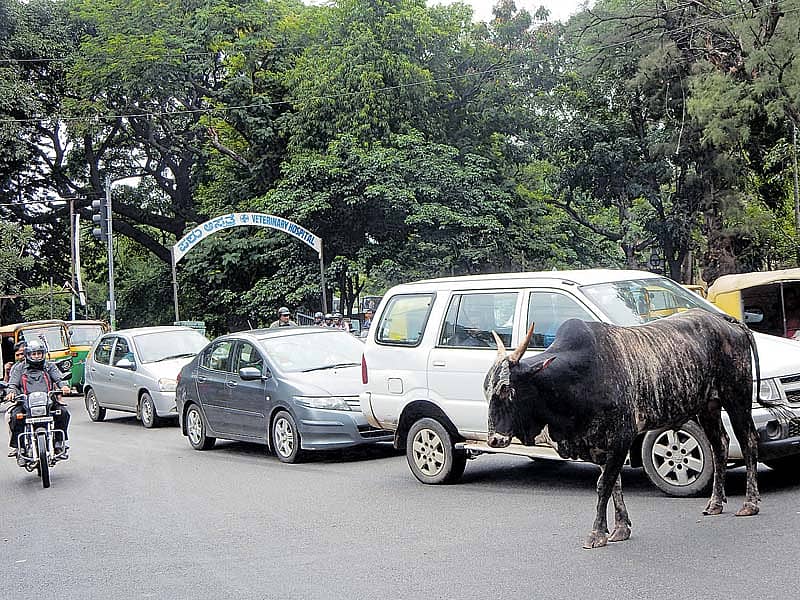 ಸಂಚಾರ ದಟ್ಟಣೆ ತಪ್ಪಿಸಿ