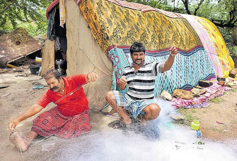 ತಬ್ಬಲಿ ಜಾತಿಯೊಂದರ ರೋದನ...