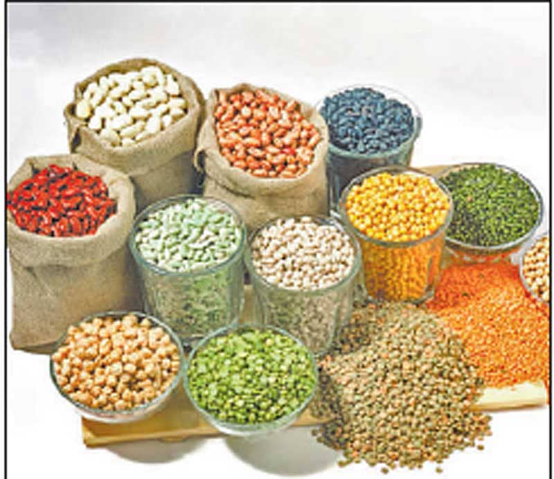 <div class="paragraphs"><p>ಆಹಾರ ಪದಾರ್ಥ</p></div>