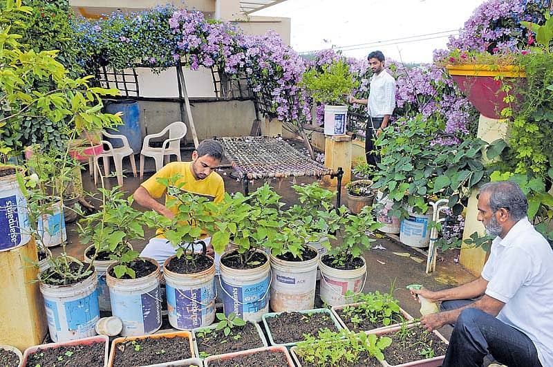 ಚಿತ್ರಗಳು: ತಾಜುದ್ದೀನ್ ಆಜಾದ್