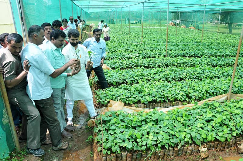 ಚಿಕ್ಕಮಗಳೂರು ತಾಲ್ಲೂಕಿನ ಲಕ್ಯಾ ಭಾಗದಲ್ಲಿ ತೋಟಗಾರಿಕೆ ಇಲಾಖೆ ಫಲಾನುಭವಿಗಳಿಗೆ ಮಾಡಿಕೊಟ್ಟಿರುವ ಹಸಿರು ಮನೆಗಳಿಗೆ ಶಾಸಕ ಸಿ.ಟಿ.ರವಿ ಅಧಿಕಾರಿಗಳೊಂದಿಗೆ ಬುಧವಾರ ಭೇಟಿ ನೀಡಿ ಪರಿಶೀಲಿಸಿದರು.