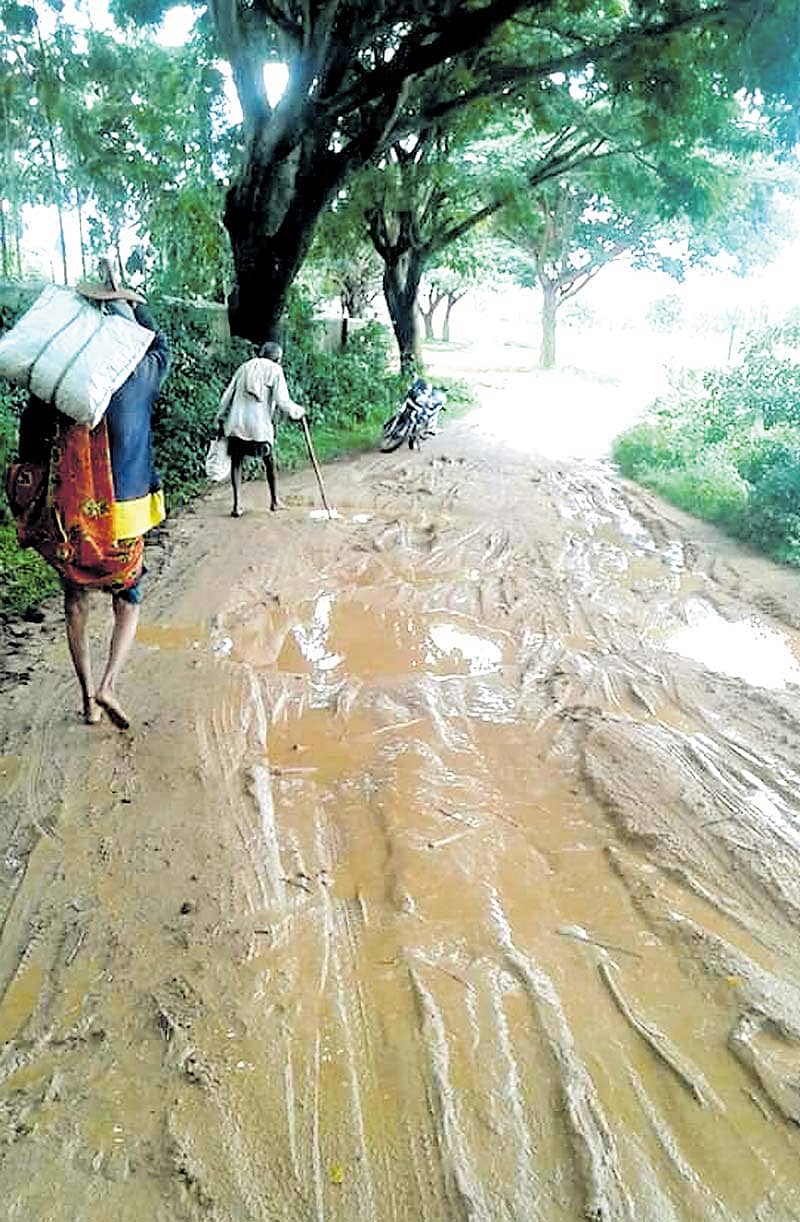 ಗೆದ್ದಲಹಳ್ಳಿ ಗ್ರಾಮದ ಕೆಸರುಮಯವಾಗಿರುವ ರಸ್ತೆಯಲ್ಲಿ ಸಾಹಸ ಪಡುತ್ತ ನಡೆದು ಹೋಗುತ್ತಿರುವ ವೃದ್ಧ ದಂಪತಿ