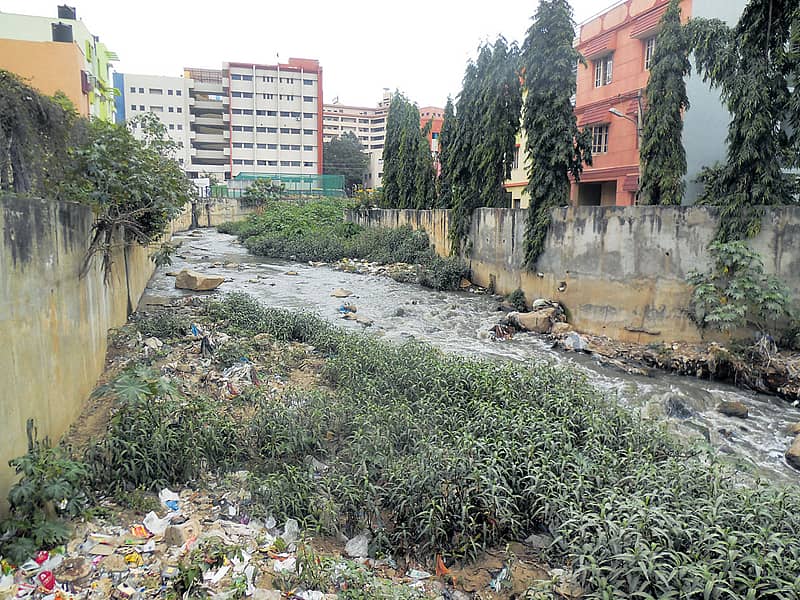 ಹೊಸಕೆರೆಹಳ್ಳಿ ಕೆರೆಯ ರಾಜಕಾಲುವೆಯಲ್ಲಿ ಹೂಳು ತುಂಬಿದೆ