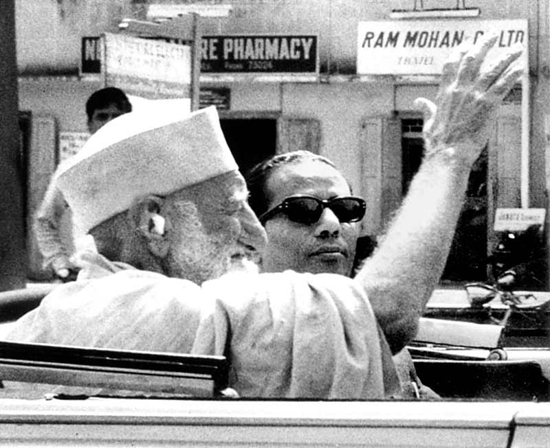 ಮಾನವೀಯತೆಯ ಚಿಗುರು