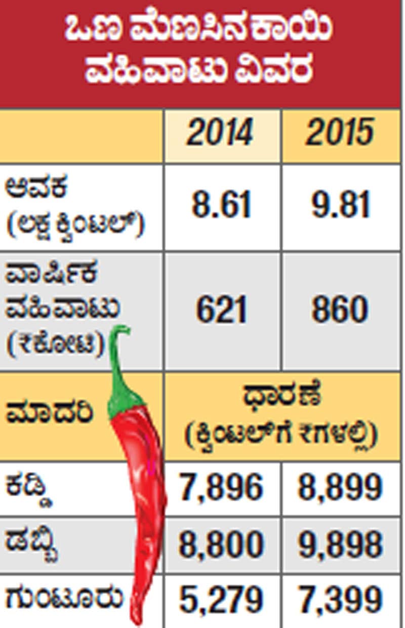 ಖಾರ ಮೆಣಸಿನಕಾಯಿಗೆ ಒಳ್ಳೆಯ ದರ
