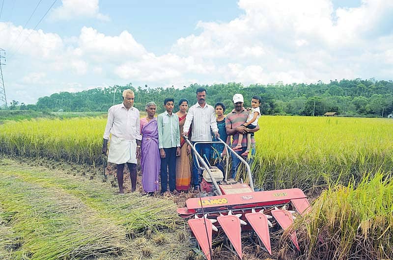 ಹೊಲದಲ್ಲಿ ಕೂಡಿ ಕೆಲಸ ಮಾಡುವ ಮೋಹನ್‌ ಕುಟುಂಬ