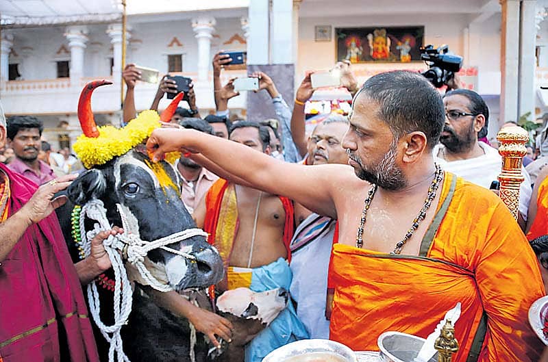 ಮಂತ್ರಾಲಯದಲ್ಲಿ ಶ್ರೀಗುರುರಾಯರ 345ನೇ ಆರಾಧನೆ ಅಂಗವಾಗಿ ನಡೆಯುತ್ತಿರುವ ಸಪ್ತರಾತ್ರೋತ್ಸವ ಕಾರ್ಯಕ್ರಮದಲ್ಲಿ ಶ್ರೀಸುಬುಧೇಂದ್ರ ತೀರ್ಥರು ಗೋಪೂಜೆ ಮಾಡಿದರು