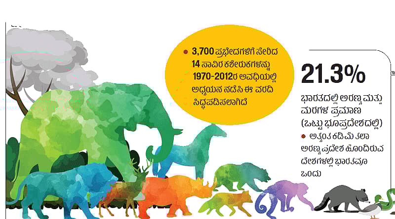ವನ್ಯಜೀವಿ ಸಂಕುಲ ಪೂರ್ಣ ನಿರ್ನಾಮದ ಭೀತಿ...