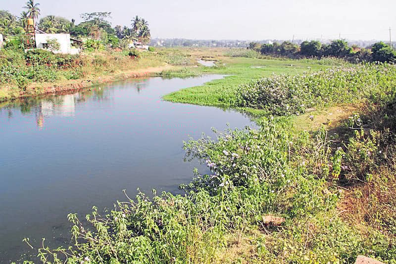 ಒಳಚರಂಡಿ ನೀರು ಸೇರಿ ಮಲಿನಗೊಂಡಿರುವ ಕನ್ನಳ್ಳಿ ಕೆರೆ
