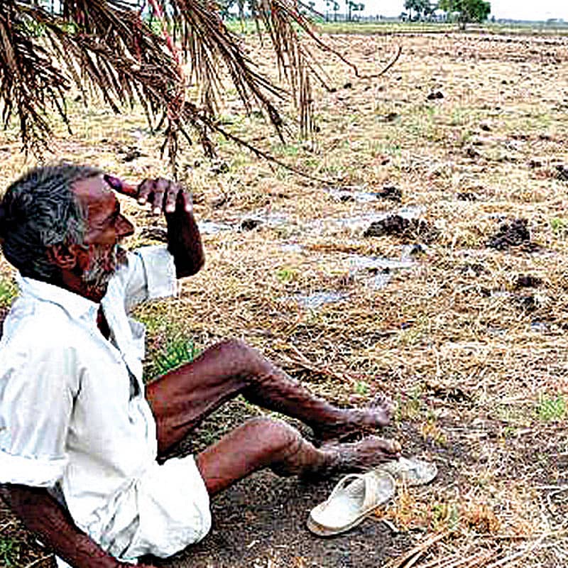 <div class="paragraphs"><p>ಬರ ಸ್ಥಿತಿ– ಸಂಗ್ರಹ ಚಿತ್ರ&nbsp;</p></div>