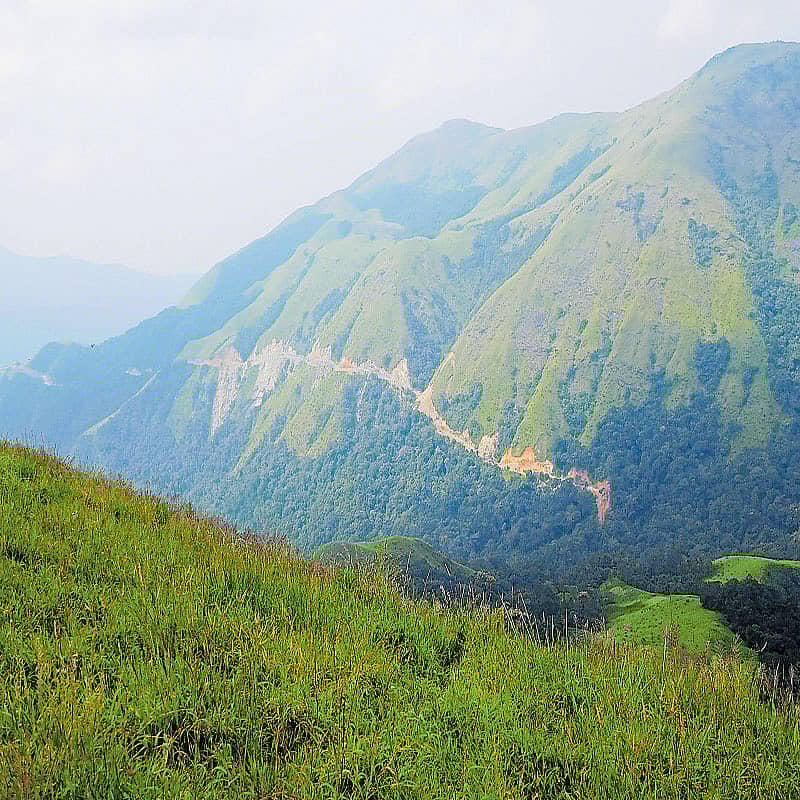 ಮೂಡಿಗೆರೆ ತಾಲ್ಲೂಕಿನ ಬಾಳೂರು ಅರಣ್ಯದ ಗಿರಿ ಭಾಗವನ್ನು ಹಾನಿಗೊಳಿಸಿರುವ ಎಂಆರ್ಪಿಎಲ್ ಗ್ಯಾಸ್ ಕೊಳವೆ ಮಾರ್ಗ.