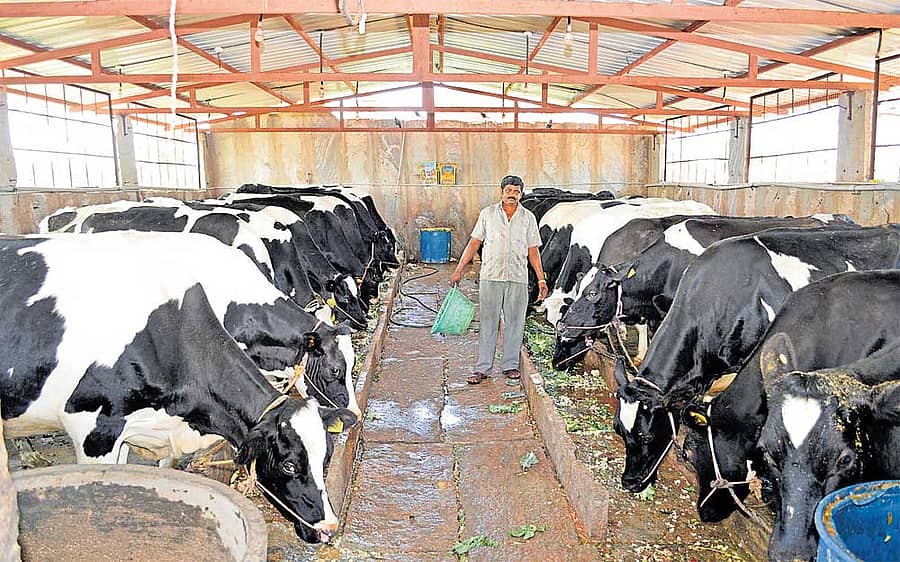 6ನೇ ಕ್ಲಾಸ್‌ ಓದಿ ಆರಂಕಿ ಸಂಪಾದನೆ!