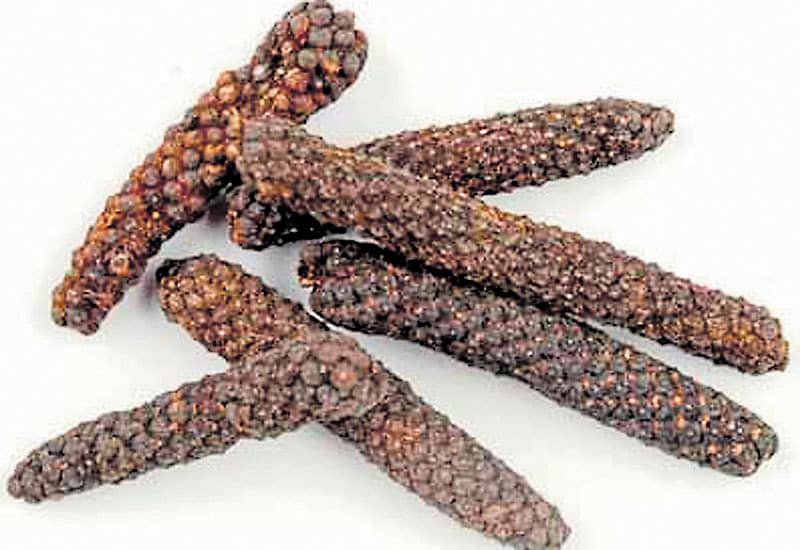 <div class="paragraphs"><p>ಹಿಪ್ಪಲಿ</p></div>