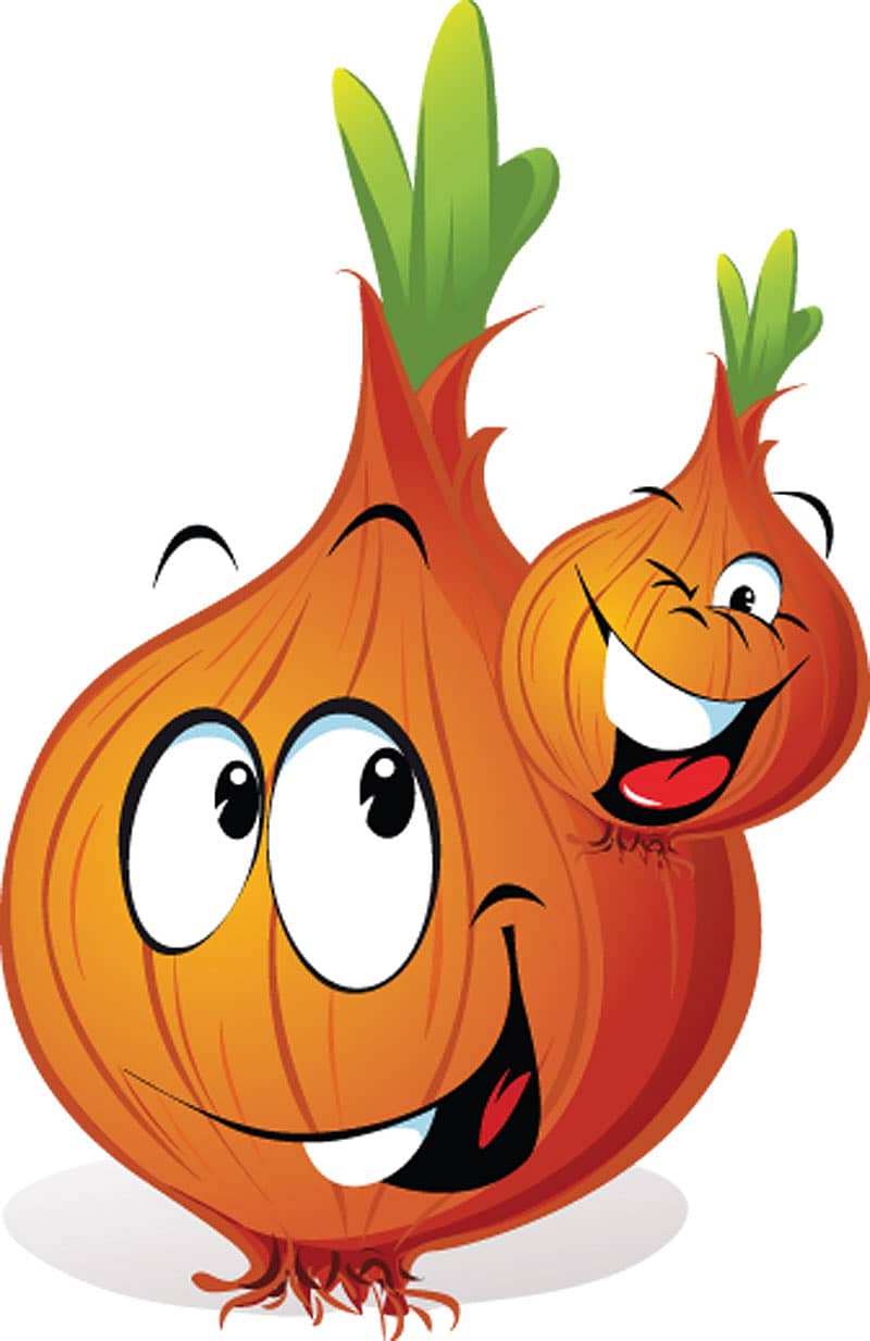 ಪಾಟ್‌ನಲ್ಲಿ ಈರುಳ್ಳಿ ಬೆಳೆಯಿರಿ...