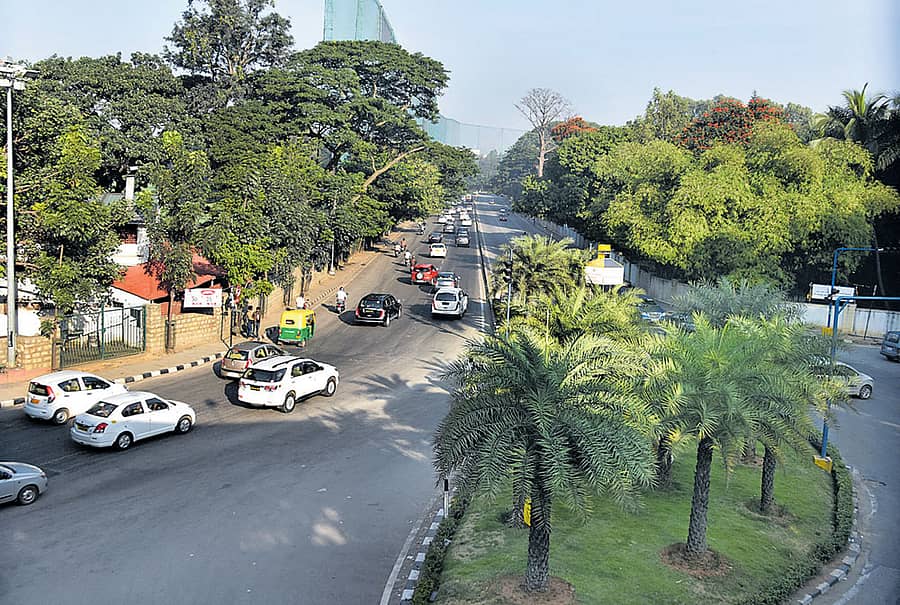 ಉಕ್ಕಿನ ಸೇತುವೆ ಅನುಷ್ಠಾನಗೊಂಡಿದ್ದರೆ ಈ ಹಸಿರು ನೆನಪಾಗಿ ಉಳಿಯುತಿತ್ತು	ಚಿತ್ರ: ಬಿ.ಕೆ. ಜನಾರ್ದನ್