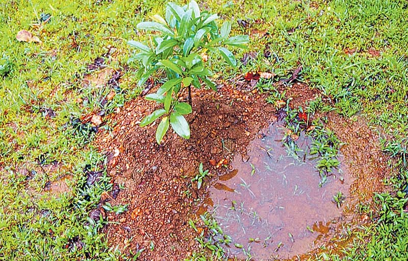 ಕಾಡುಗುಡ್ಡದಲ್ಲಿ ನೀರಿನ ಠೇವಣಿ