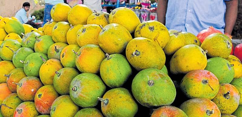 ­ನಗರದ ವಿವಿಧೆಡೆ ಮಾವು ಮಹಾಮೇಳ