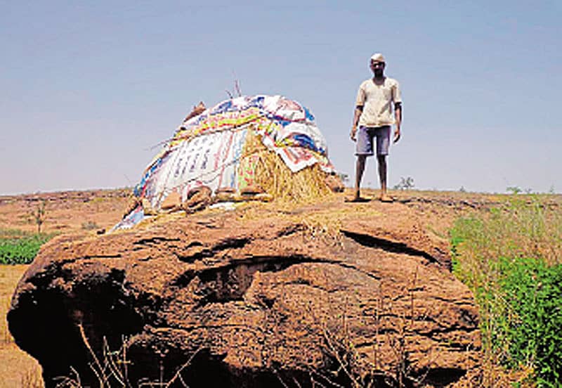 ಕಲ್ಲಿನ ಮೇಲೆ ಒಟ್ಟಿದ ಬಣವೆಯ ಬದಿಯಲ್ಲಿ ರೈತ ಟಾಕರೆಪ್ಪ ರಾಠೋಡ