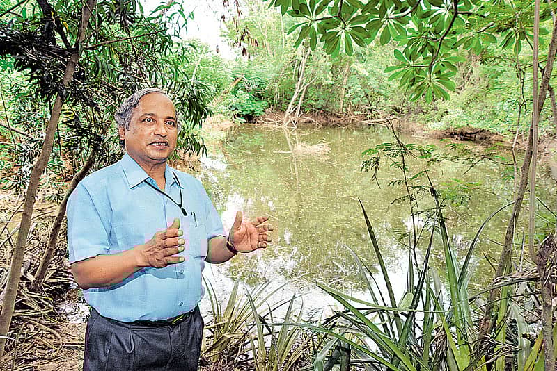 ಹಸಿರು ಮರೆಯಾಯ್ತು...ಕಾಂಕ್ರೀಟ್ ಕಾಡಾಯ್ತು