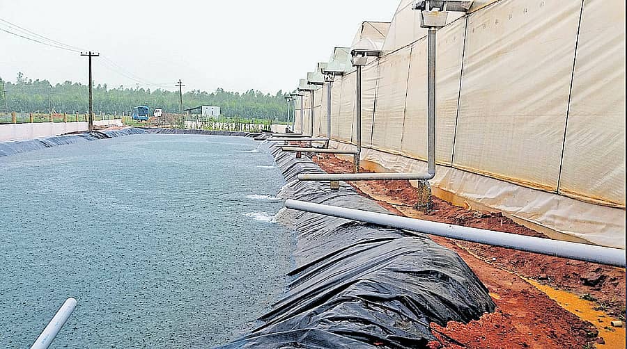 ಕೃಷಿ ಹೊಂಡದಲ್ಲಿ ಶೇಖರಣೆ ಆಗಿರುವ ಮಳೆ ನೀರು