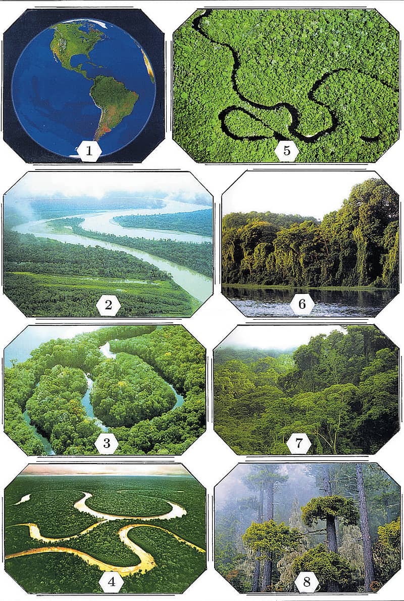 ಅಮೆಜೋನಿಯಾದ ತಳಮಳ