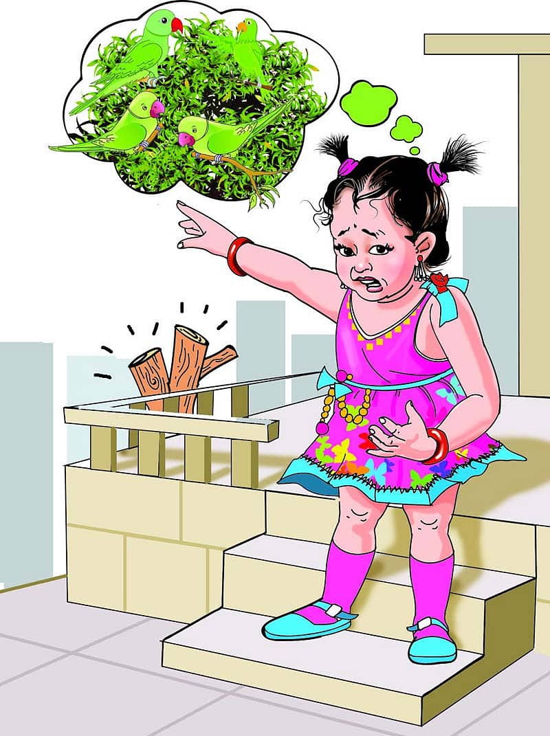 ಮಾಮ ಗಿಲಿಮರಿ ಎಲ್ಲಿ?