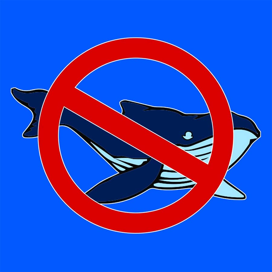 ‘ಬ್ಲೂ ವೇಲ್’ ಸುಳ್ಳೂ ಆತ್ಮಹತ್ಯೆ ಎಂಬ ಸತ್ಯವೂ