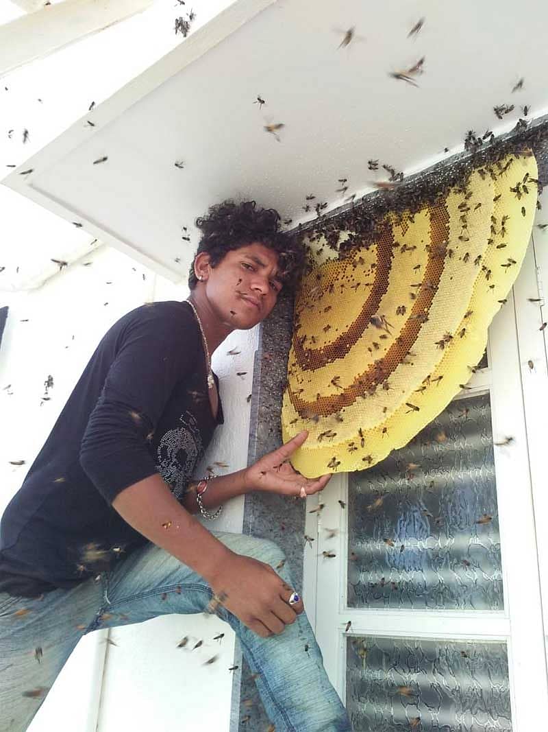 ಹುಬ್ಬಳ್ಳಿಯ ಕಟ್ಟವೊಂದರಲ್ಲಿ ಜೇನುಗೂಡು ತೆಗೆಯುತ್ತಿರುವ ಸಲ್ಮಾನ್ ಮಂಡಲ್