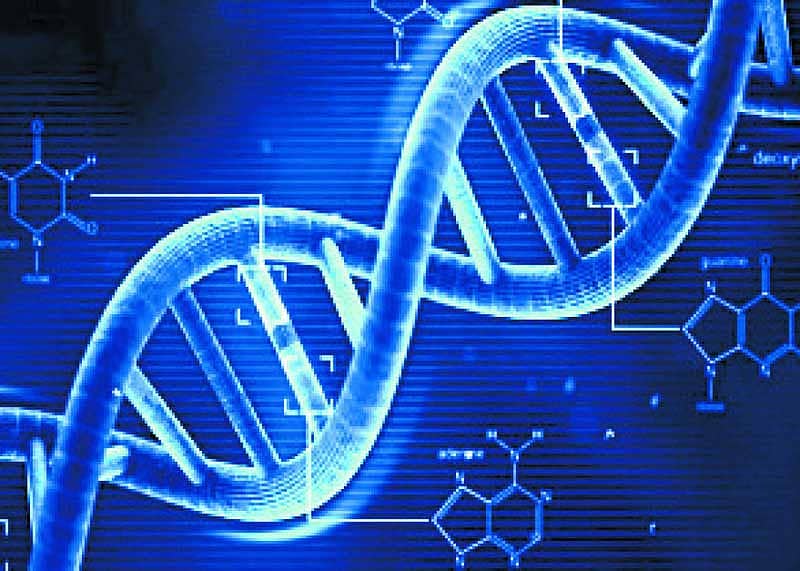 <div class="paragraphs"><p>ಡಿಎನ್ಎ </p></div>