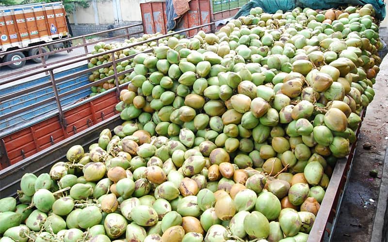 ಮದ್ದೂರು ಎಳನೀರು ಮಾರುಕಟ್ಟೆಯಿಂದ ಮುಂಬೈಗೆ ಹೊರಟಿದ್ದ ಎಳನೀರು ತುಂಬಿದ ಲಾರಿ