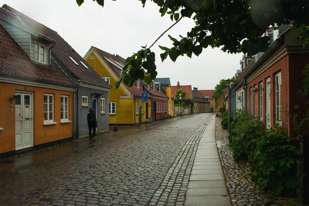 ಪುಟ್ಟ ಬಣ್ಣದ ಲೋಕದಂತೆ ಕಾಣುವ ಕೋಜಿ!