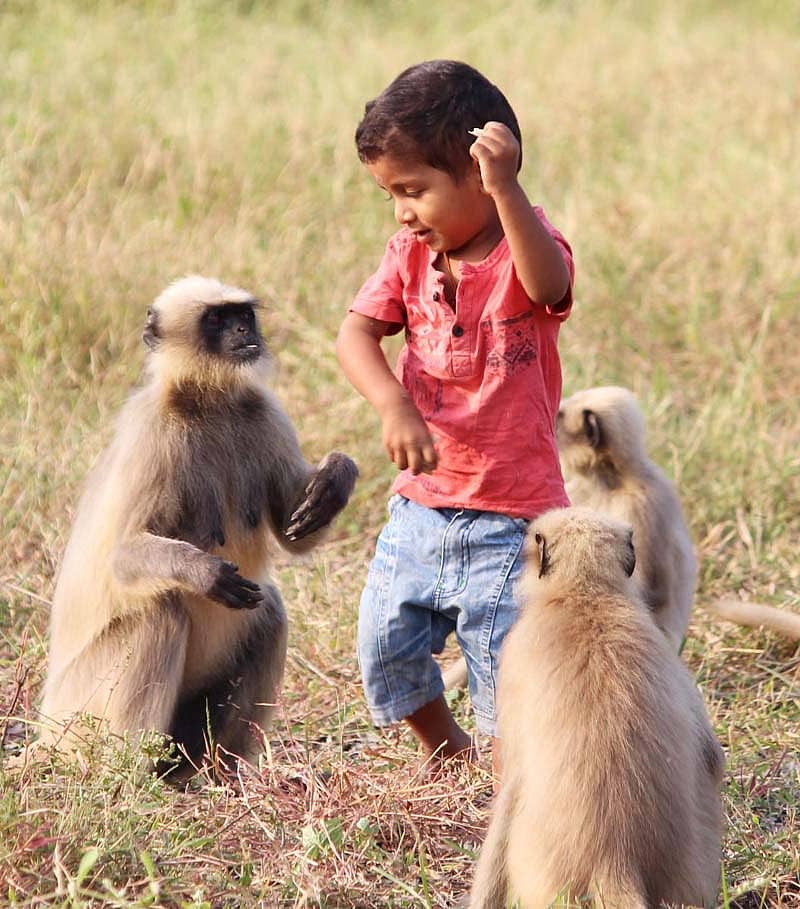 ಈತ ವಾನರ ಸೇನೆಯ ಕರ್ನಲ್!